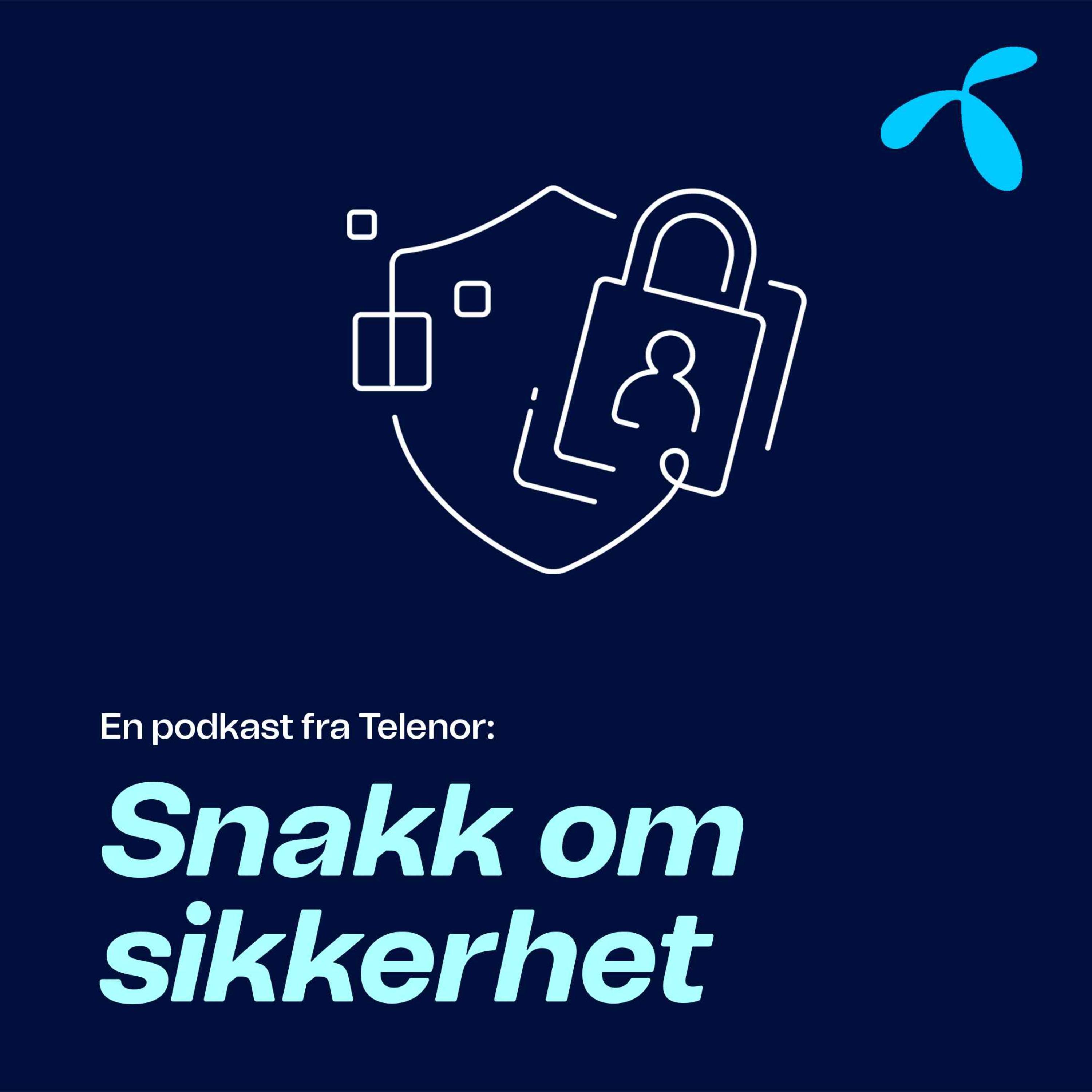 Snakk om sikkerhet