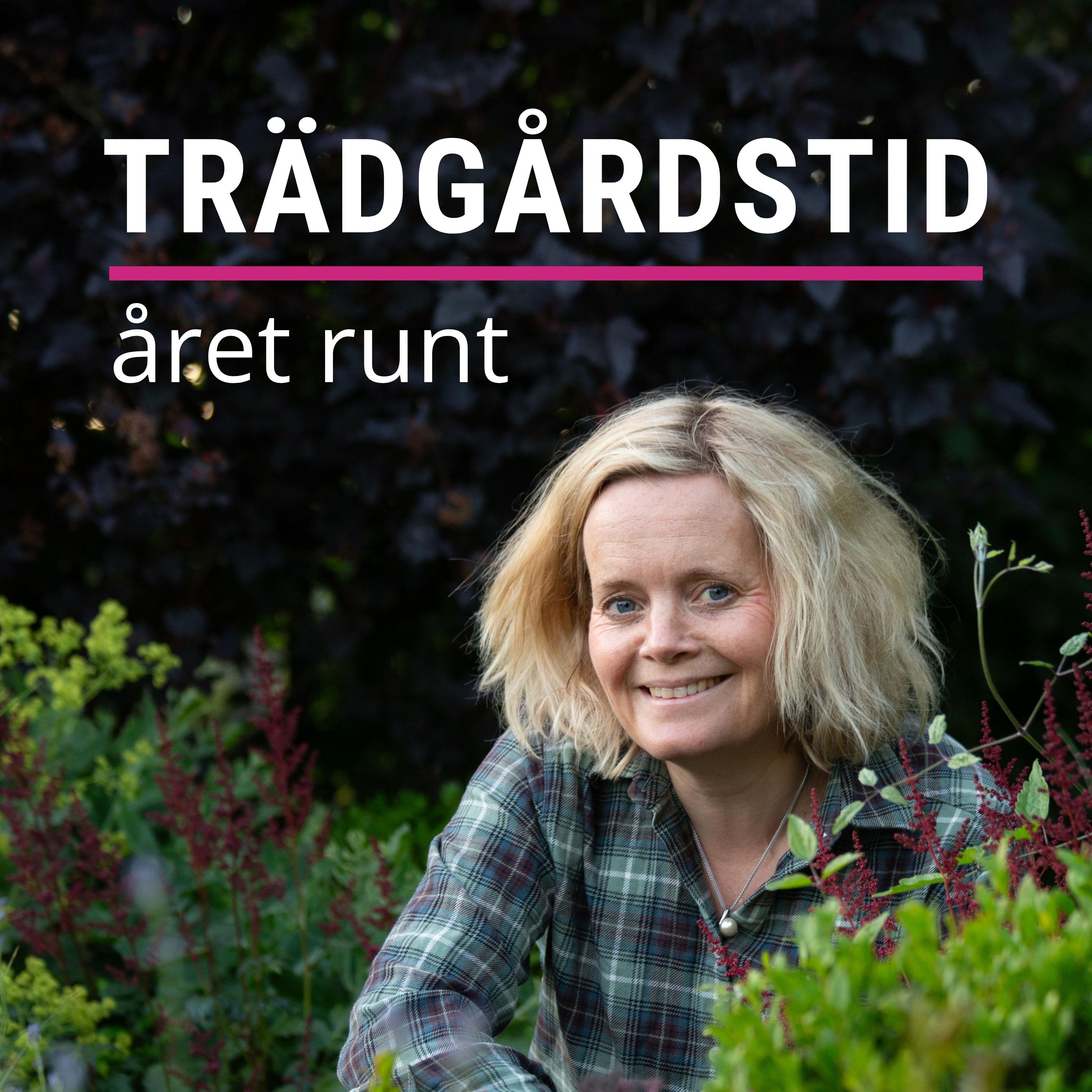Trädgårdstid året runt