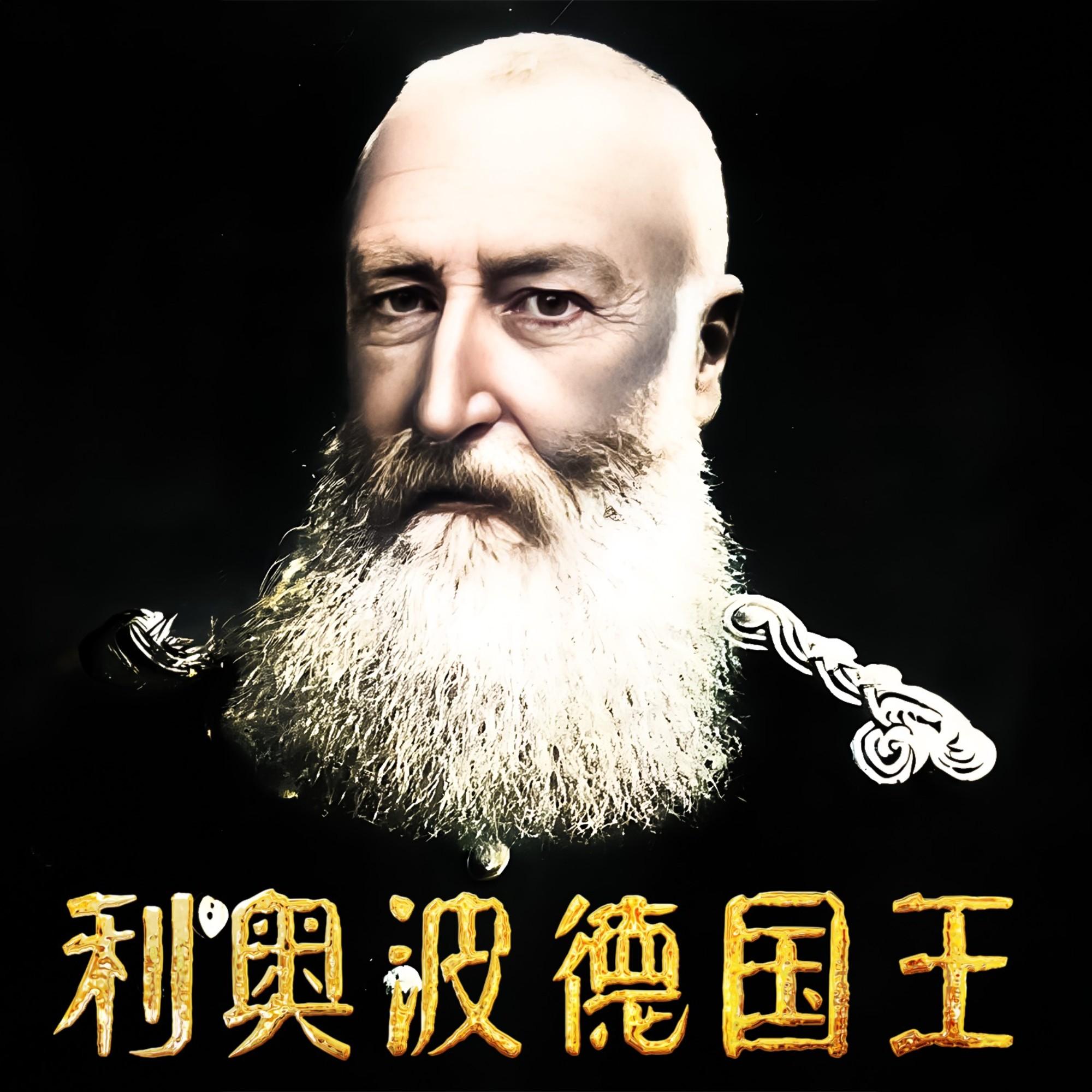 利奥波德国王的鬼魂：英雄主义与比利时的非洲殖民地