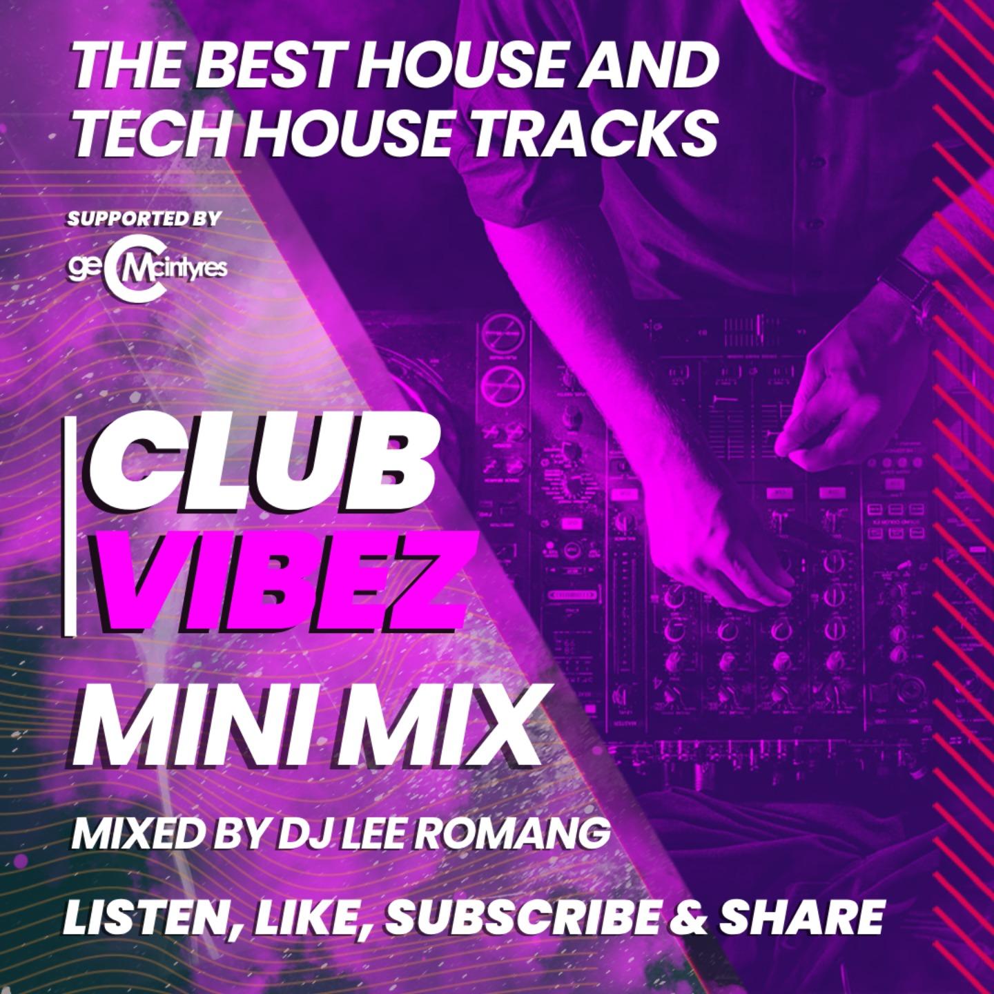 Club Vibez Gym Mix - DJ Lee Romang
