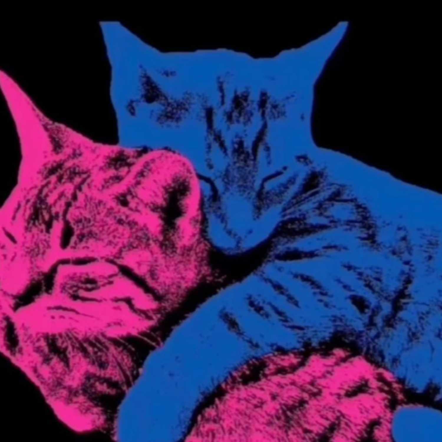 Dangerously yours x TV girl