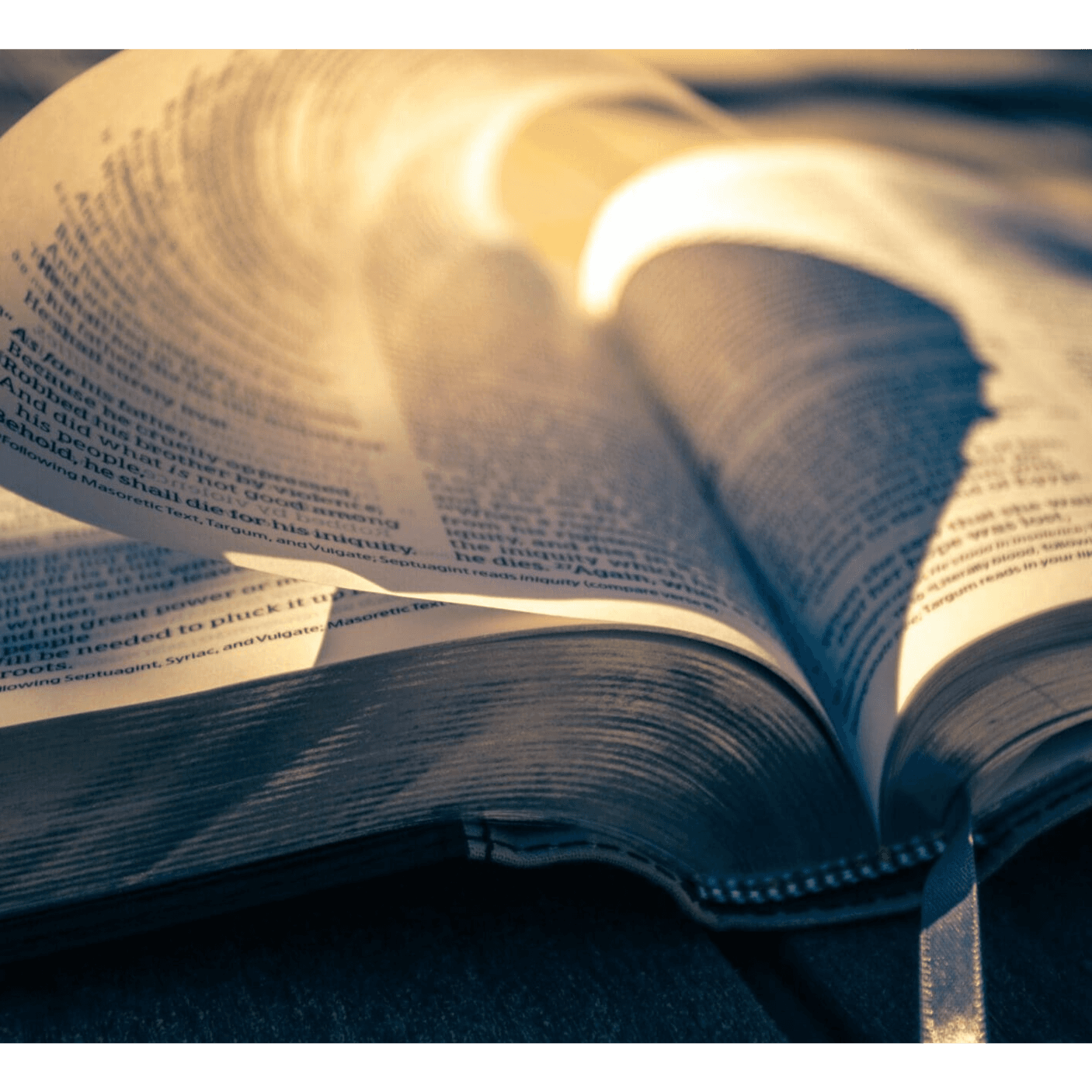 The Holy Bible - English