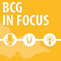 BCG in focus