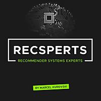 Recsperts - Recommender Systems Experts