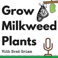 Grow Milkweed Plants