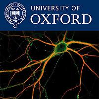 Nuffield Department of Clinical Neurosciences