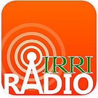 IRRI Radio