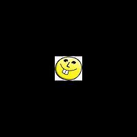 Funny Videos