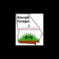 Georgia Forages