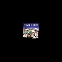 Pets In The City - New York City Pets & Animals - Pets & Animals on Pet Life Radio (PetLifeRadio.com)