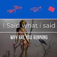 I SAID WHAT I SAID - WHY ARE YOU RUNNING