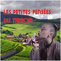 Les petites pensées du terroir