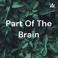 Part Of The Brain