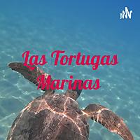 Las Tortugas Marinas