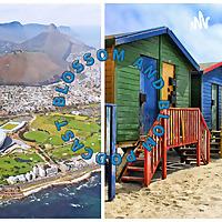 BLOSSOM & BLOM PODCAST