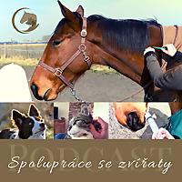 Spolupráce se zvířaty (dříve "Pozitivně k veterináři")