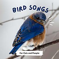 Bird Songs for Cats