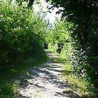 Life in Society Podcast - German