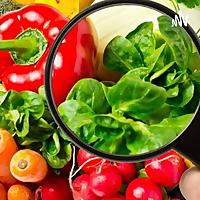 Nutrición - Higiene de los Alimentos