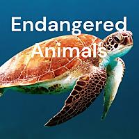 Endangered Animals