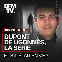 Dupont de Ligonnès, la série
