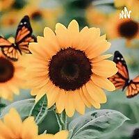 Nandy