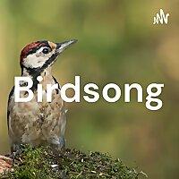 Birdsong