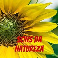 SONS DA NATUREZA
