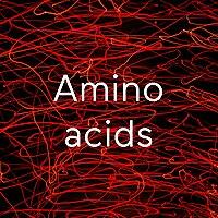 Amino acids