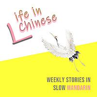 Life in Chinese | Weekly Stories in Slow Mandarin