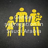 Gender segregation in Saudi Arabia