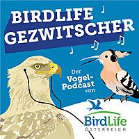 BirdLife Gezwitscher