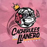 Cachirules del llanero