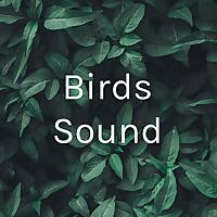 Birds Sound