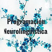 Programación Neurolingüística.