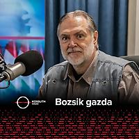 Bozsik gazda podcast