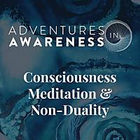 Adventures in Awareness