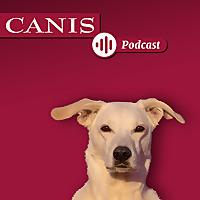 Der CANIS-Podcast – Hundeexpert:innen ausgefragt
