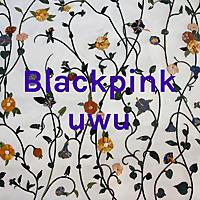 Blackpink uwu