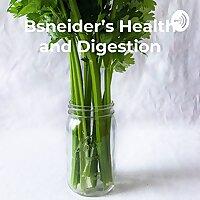 Bsneider's Health and Digestion: The Engineer's way of Thinking
