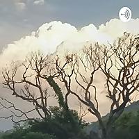 Daniel Abuelo              Para mis nietos