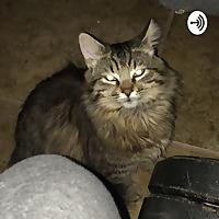 Historias de Ultratumba