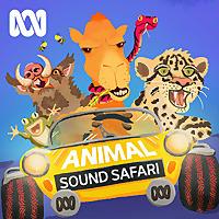 Animal Sound Safari