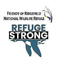 Ridgefield National Wildlife Refuge Auto Tour - Ridgefield, WA