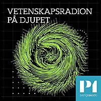 Vetenskapsradion