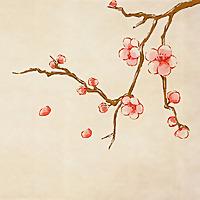 Kiến thức tâm linh và đời sống | Tâm Linh Toàn Thư