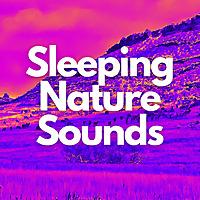 Sleeping Nature Sounds