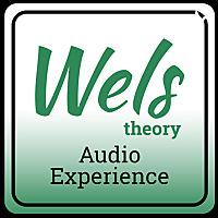 Wels Theory - Audio Experience