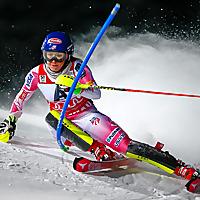 Ski Fans