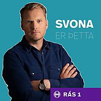 Svona er þetta